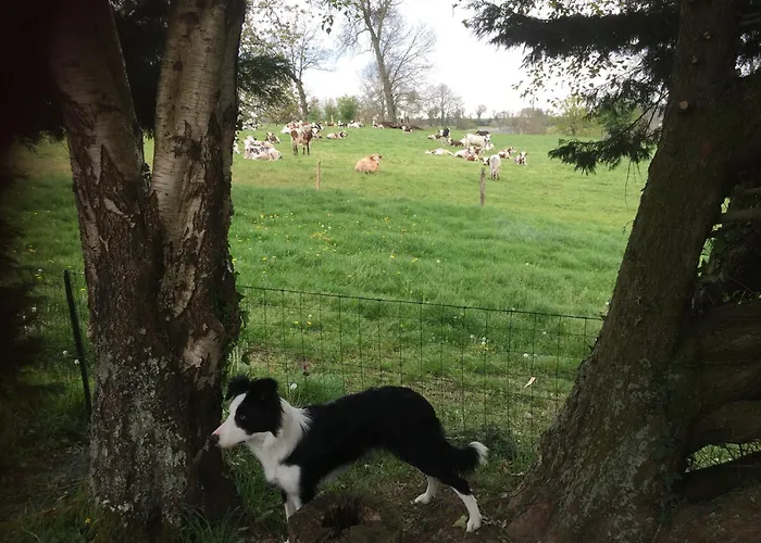 Sourdevalle Nocleg ze śniadaniem